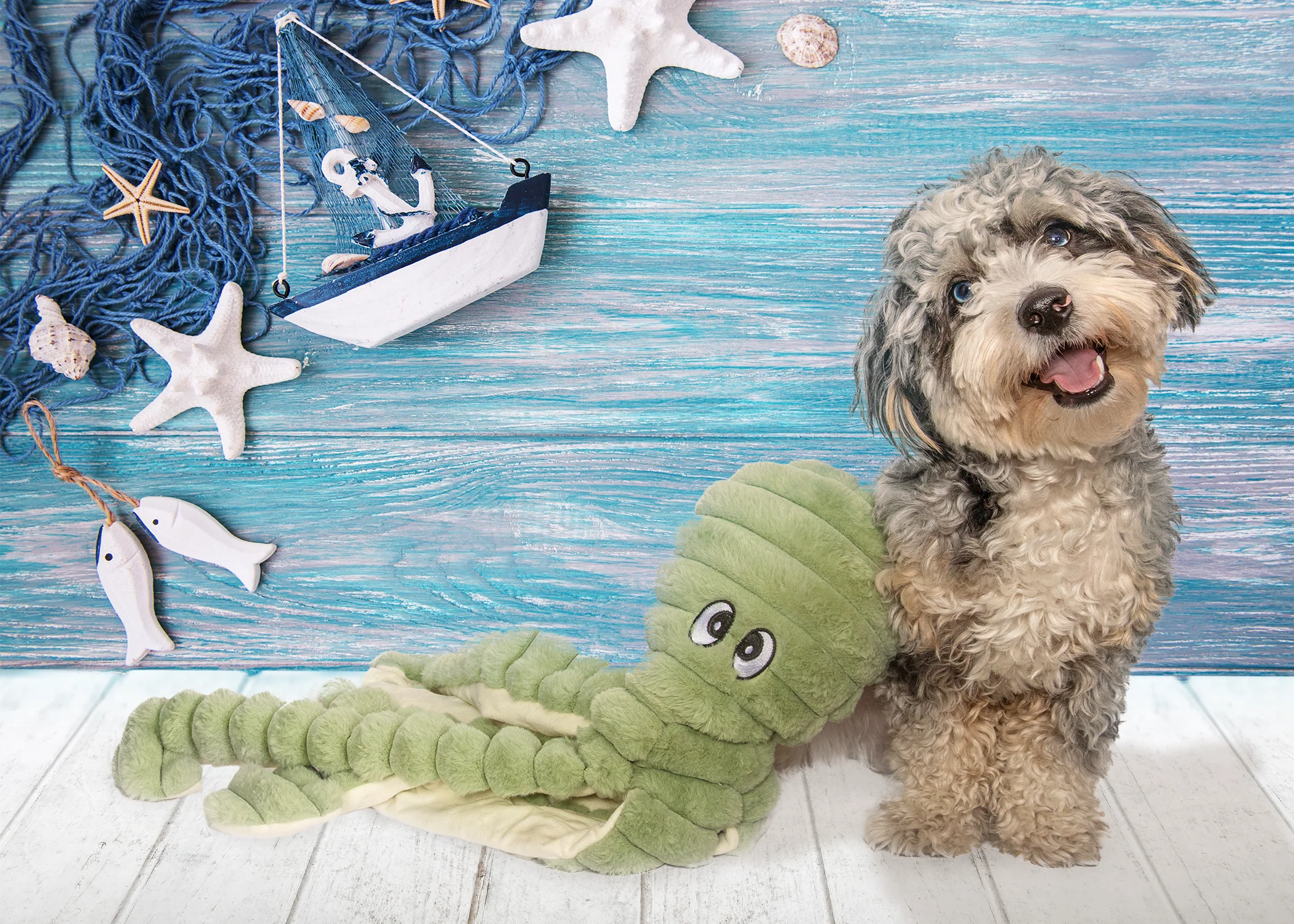 Cute dog with Pawfields toy